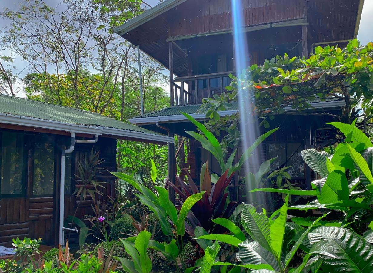 Cotingas Ocean View Villa Drake Bay Luaran gambar
