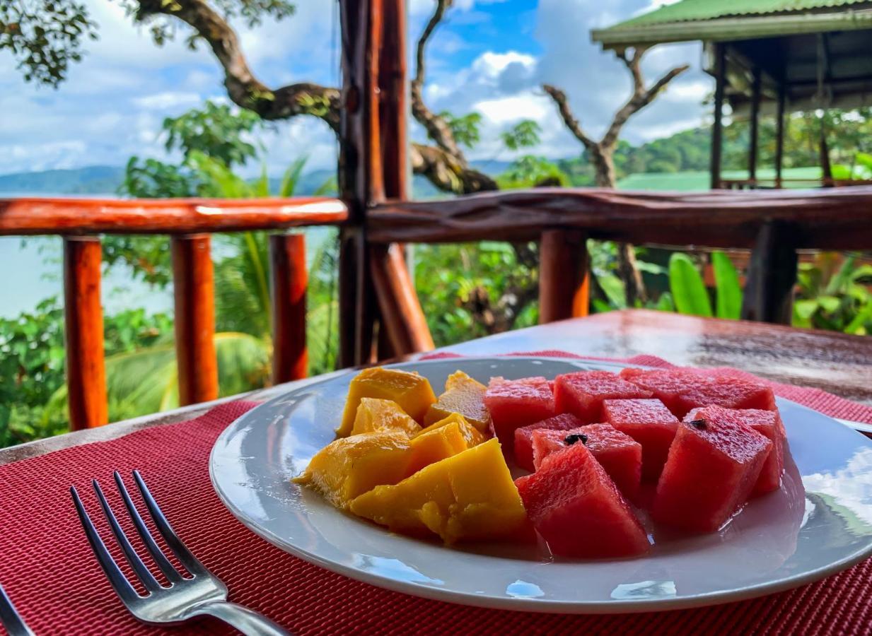Cotingas Ocean View Villa Drake Bay Luaran gambar