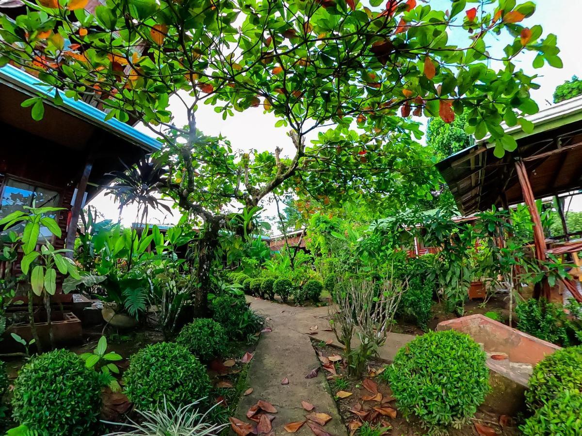 Cotingas Ocean View Villa Drake Bay Luaran gambar